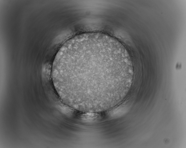 X0000099450672200806061107