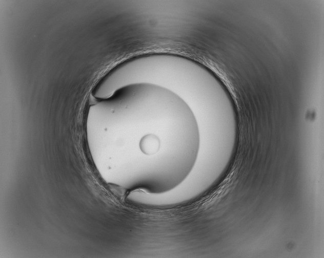 X0000099450673200806061107