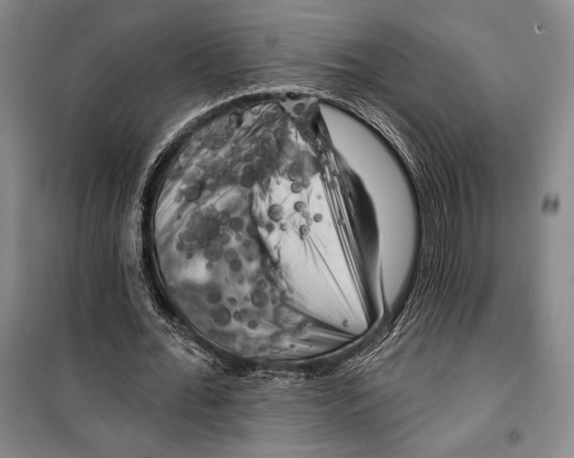 X0000099450676200806061107