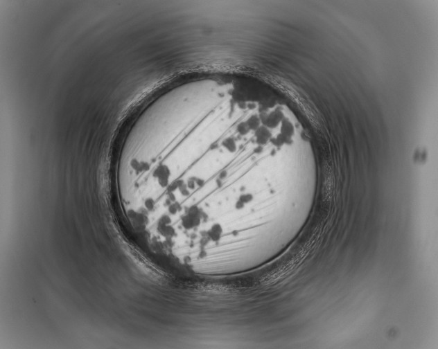 X0000099450677200806061107