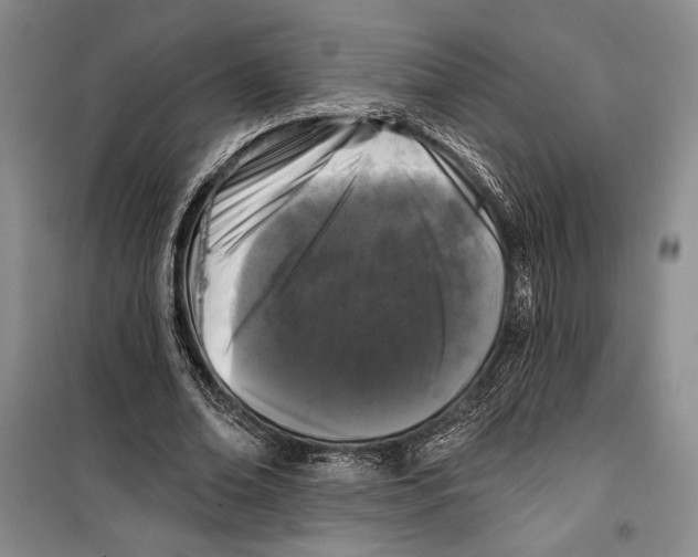 X0000099450678200806061107