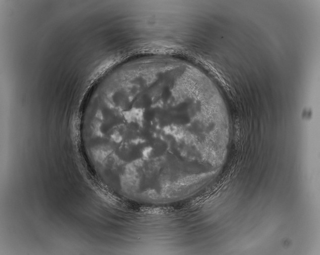 X0000099450679200806061107