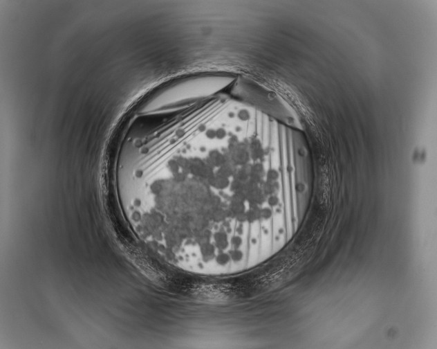 X0000099450680200806061106