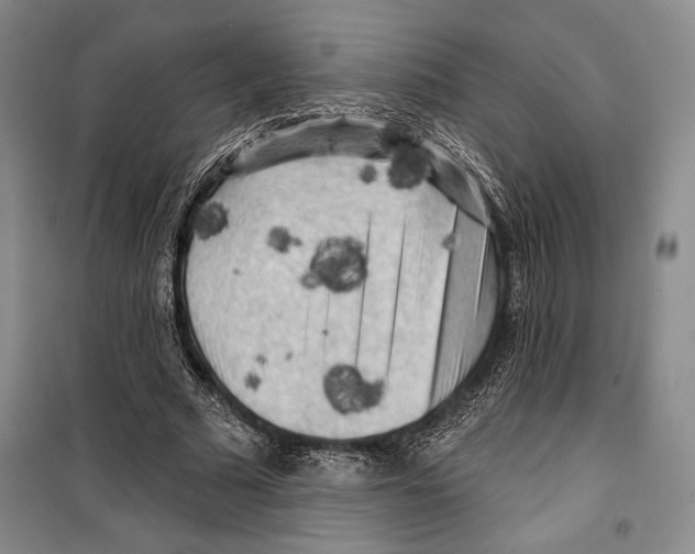 X0000099450681200806061106