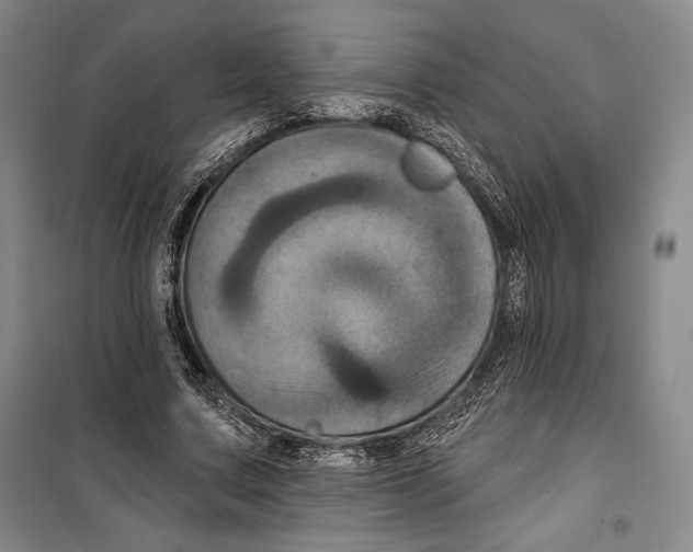 X0000099450683200806061106