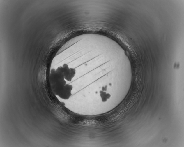 X0000099450685200806061106