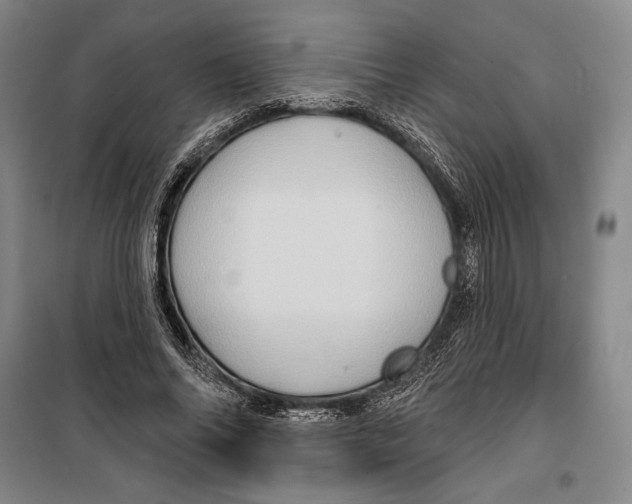 X0000099450686200806061106