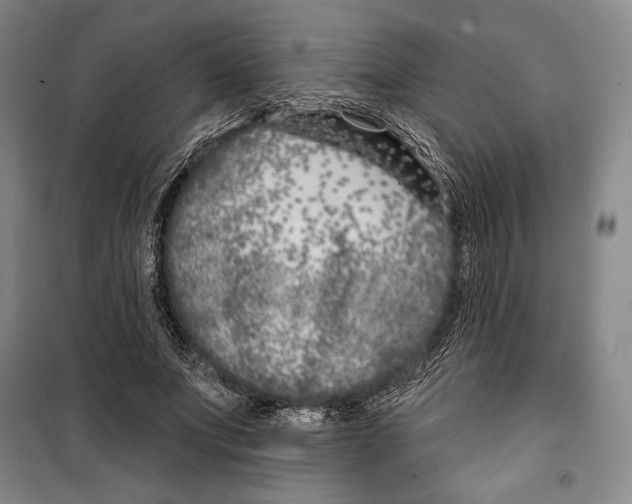 X0000099450687200806061106