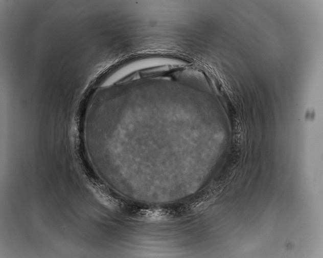 X0000099450688200806061106