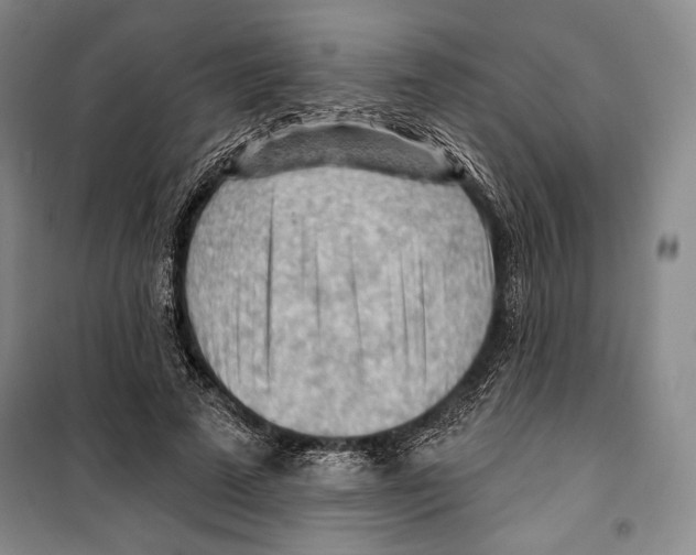 X0000099450689200806061106