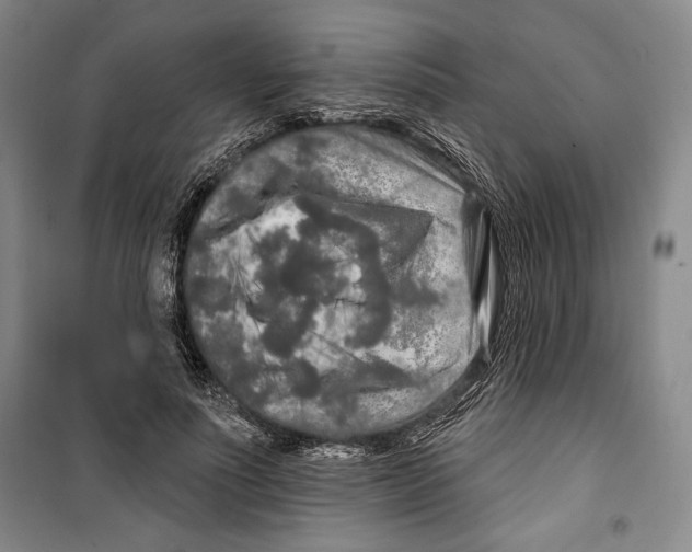 X0000099450691200806061106