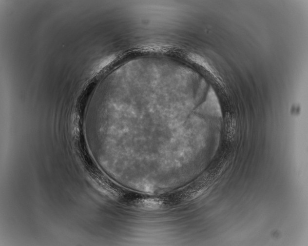 X0000099450692200806061106