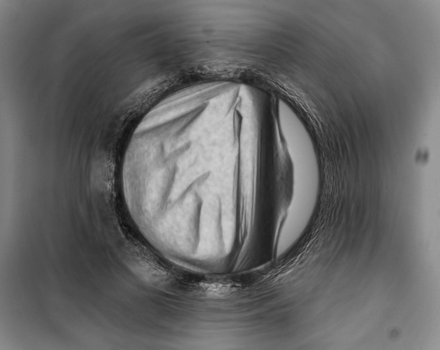 X0000099450693200806061106