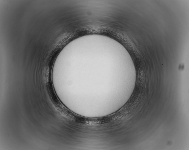 X0000099450694200806061106