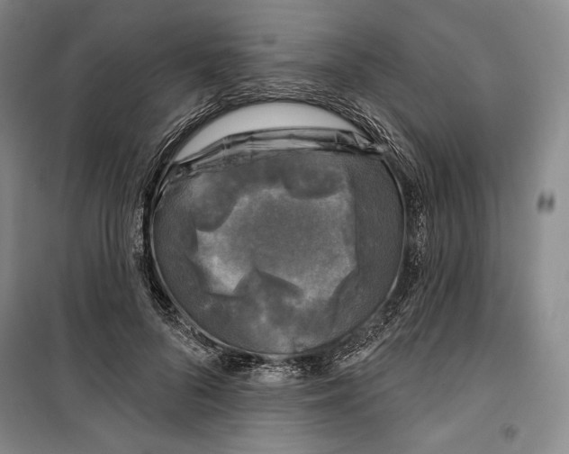 X0000099450696200806061106