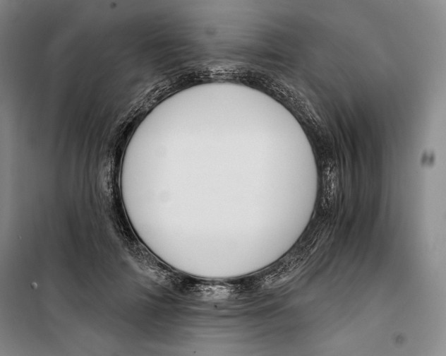 X0000099450698200806061106