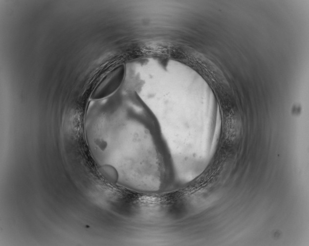 X0000099450699200806061106