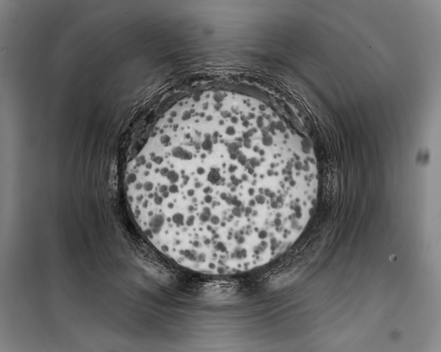 X0000099450700200806061106