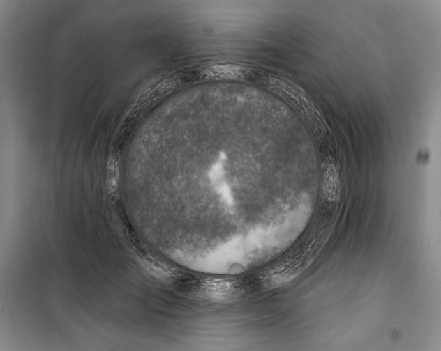 X0000099450701200806061106