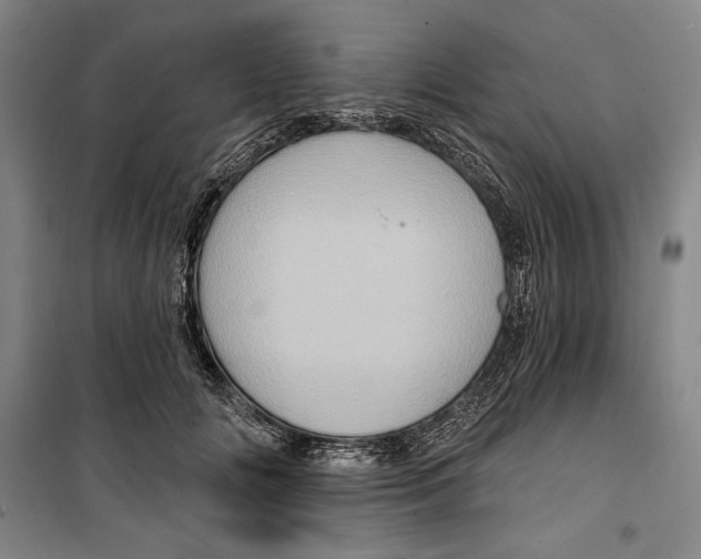 X0000099450702200806061106