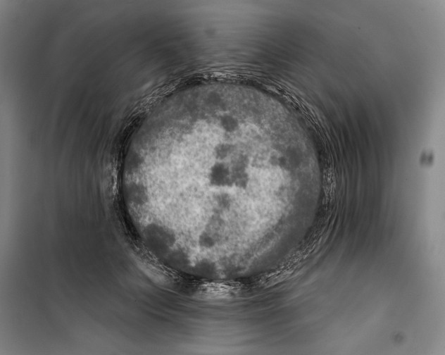 X0000099450703200806061106