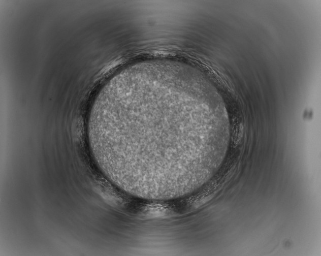 X0000099450704200806061106