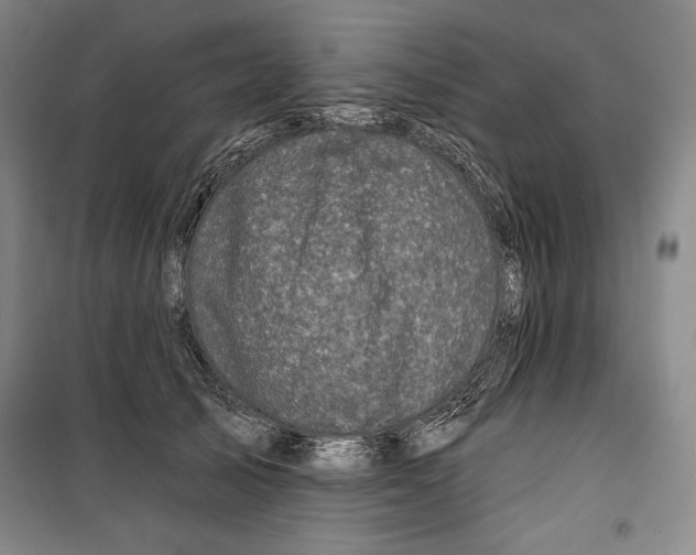 X0000099450705200806061106