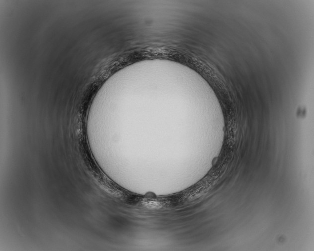 X0000099450706200806061106