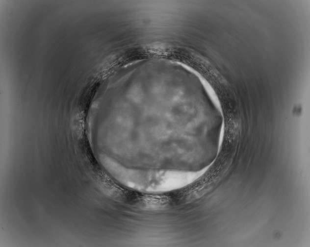 X0000099450707200806061106