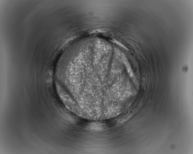 X0000099450708200806061106