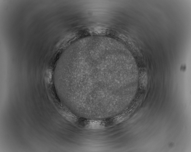 X0000099450709200806061106