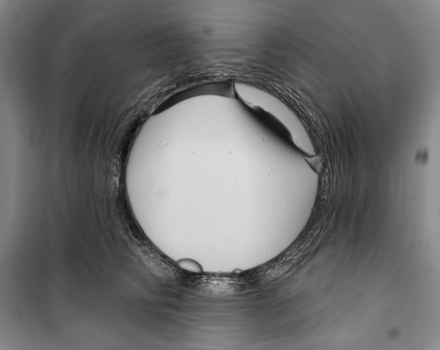 X0000099450710200806061106