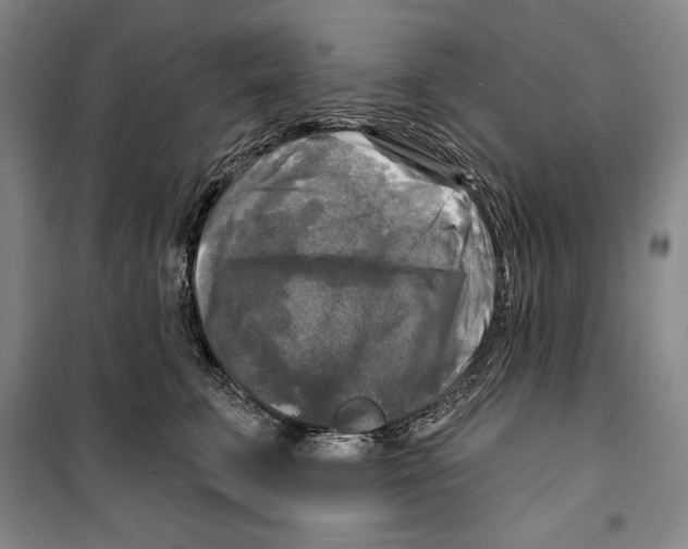 X0000099450711200806061106