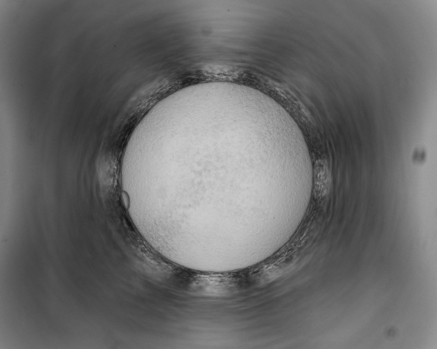 X0000099450713200806061106