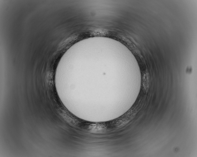 X0000099450714200806061106