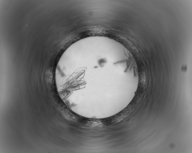 X0000099450715200806061106