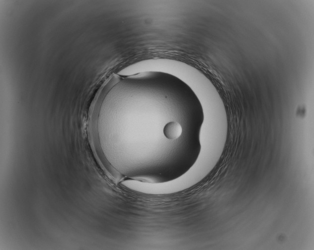 X0000099450716200806061106