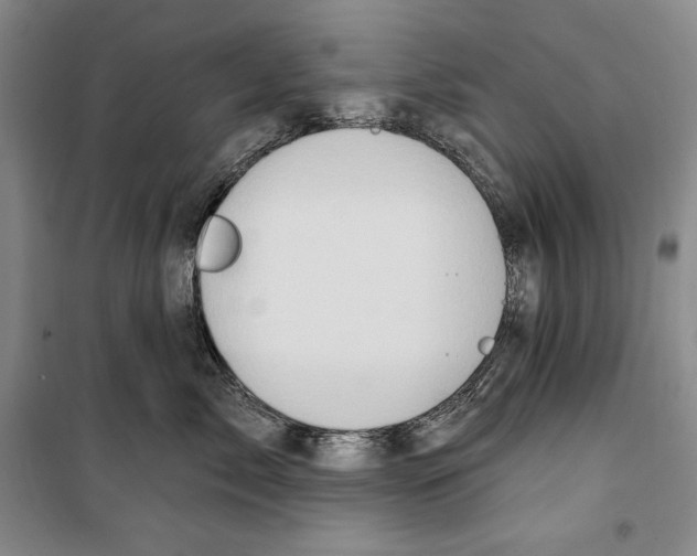 X0000099450717200806061106