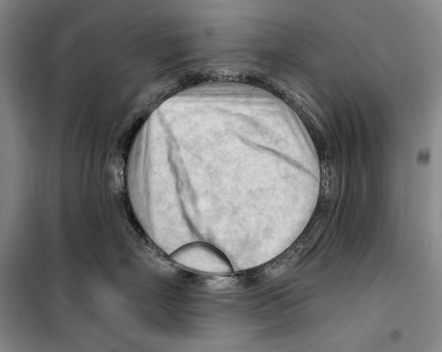 X0000099450718200806061106