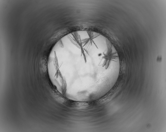 X0000099450719200806061106