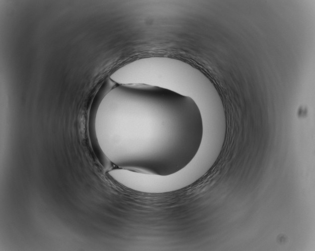 X0000099450720200806061106