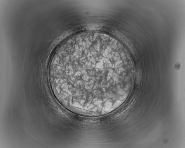 X0000099450721200806061105