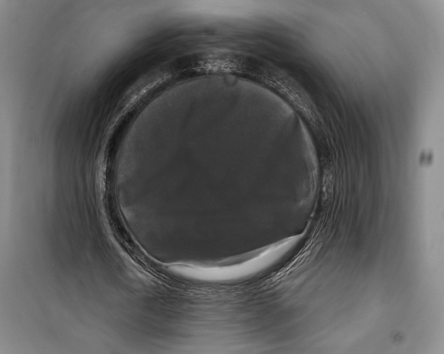 X0000099450722200806061105