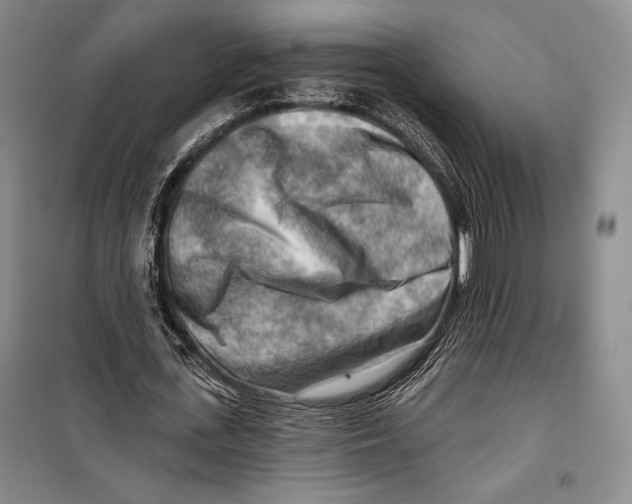 X0000099450723200806061105