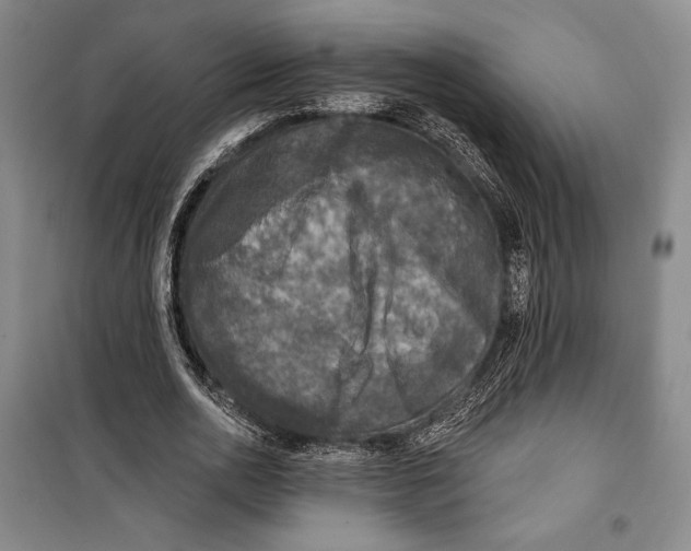 X0000099450726200806061105