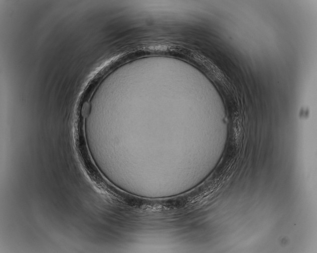 X0000099450728200806061105