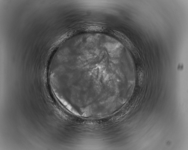 X0000099450729200806061105