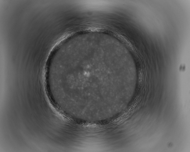 X0000099450730200806061105