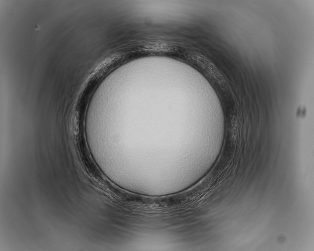 X0000099450731200806061105