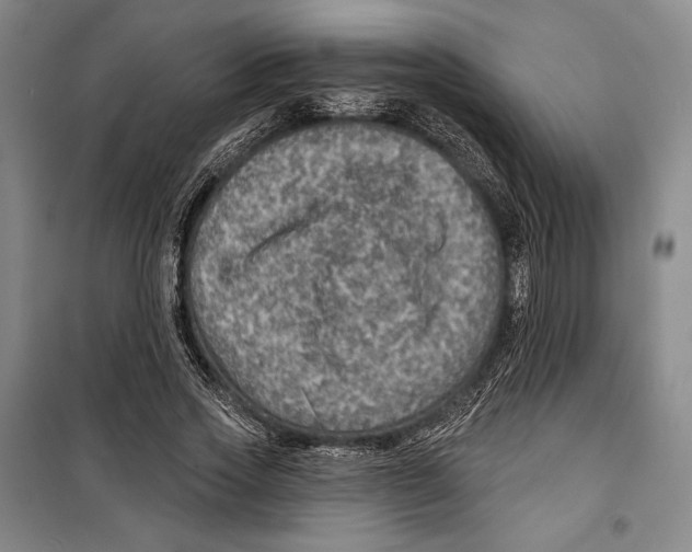 X0000099450733200806061105